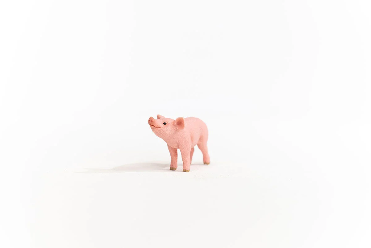 Productafbeelding 2