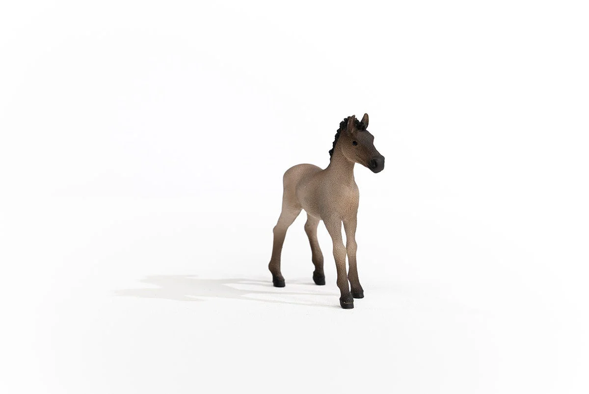 Productafbeelding 5