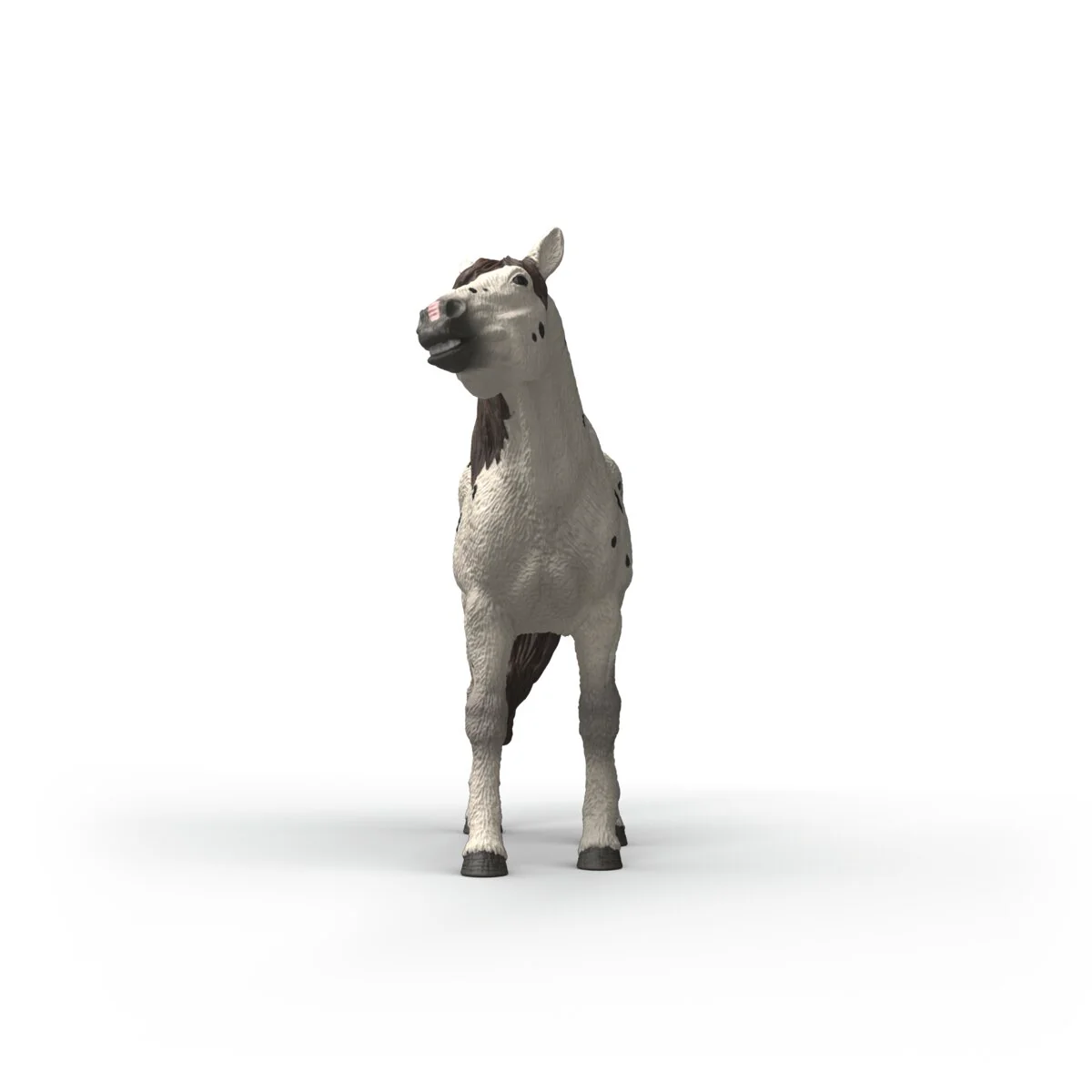 Productafbeelding 3
