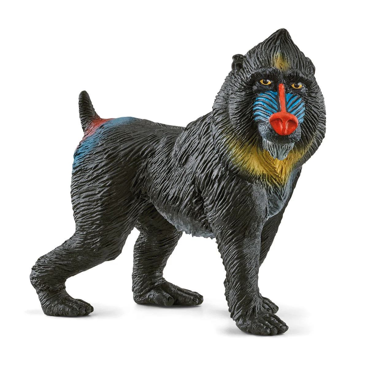Miniatuur 1