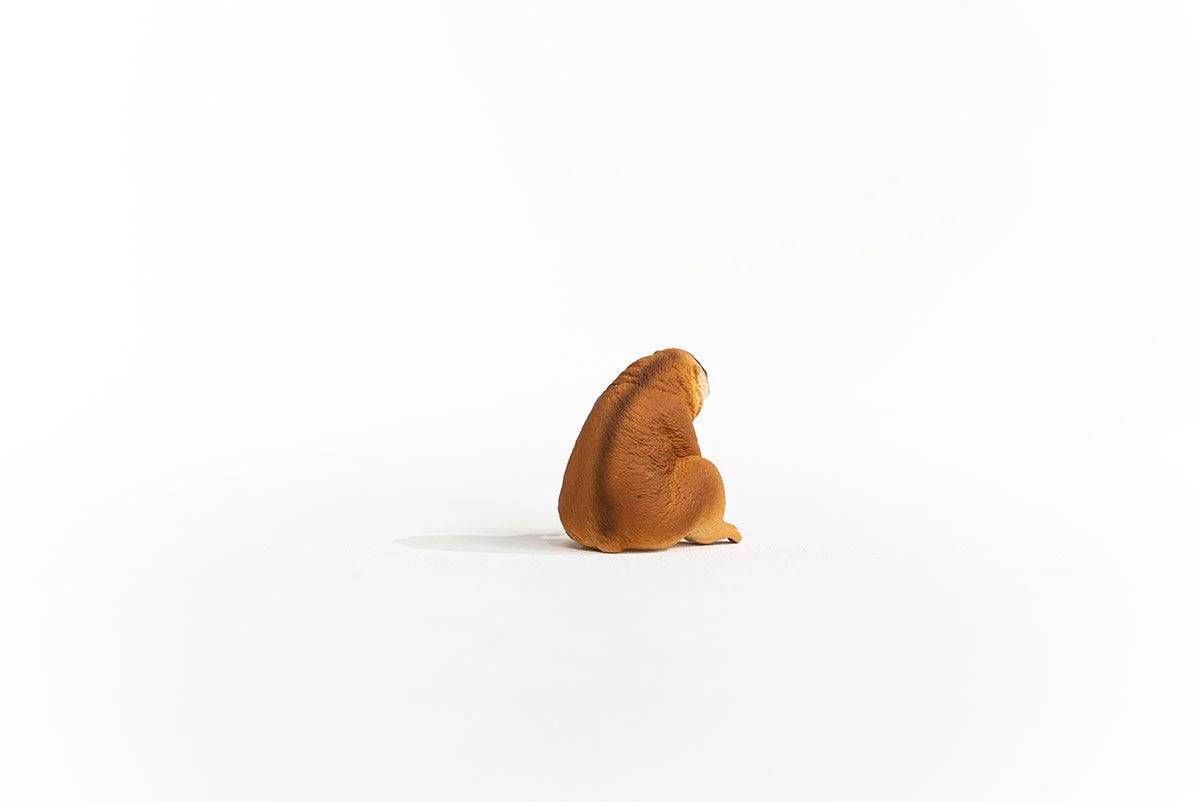 Productafbeelding 5